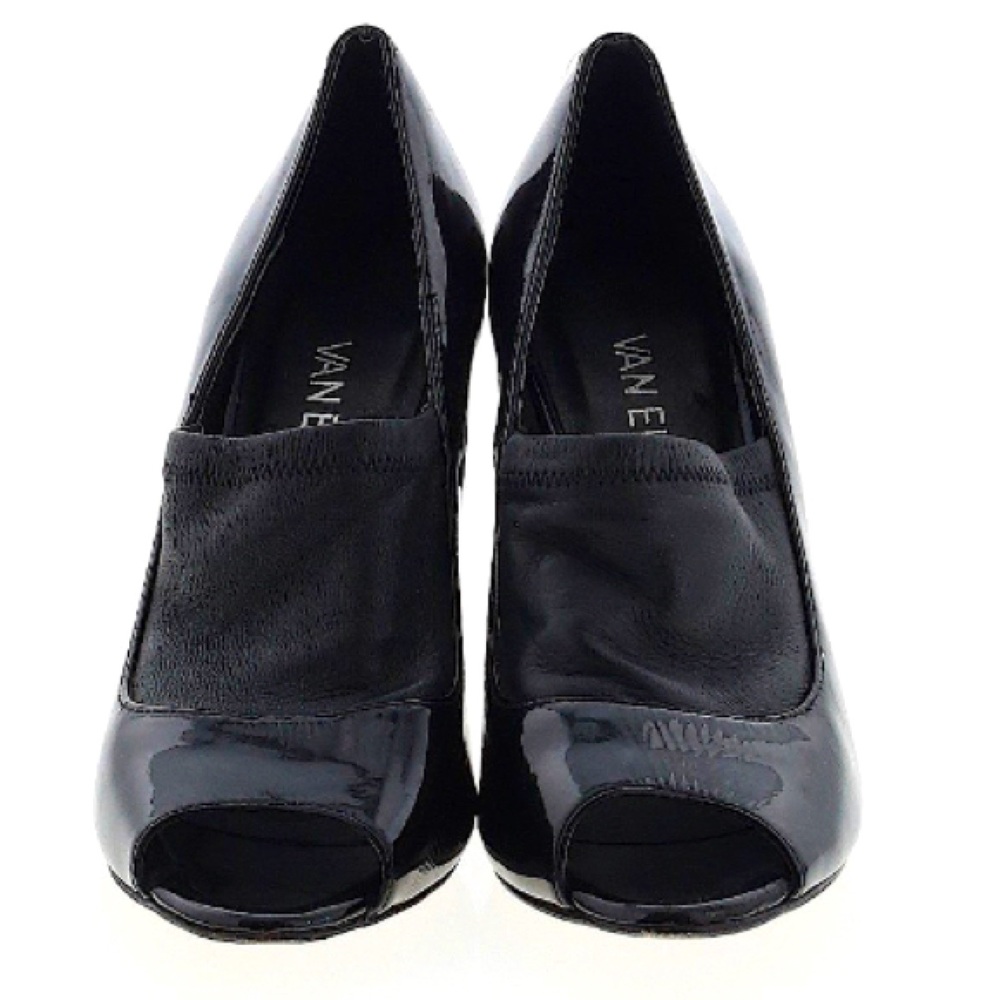 Vaneli pumps